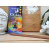 Encens 7 chakras