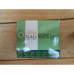 Encens sauge blanche 10 cônes